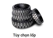 Tùy chọn lốp